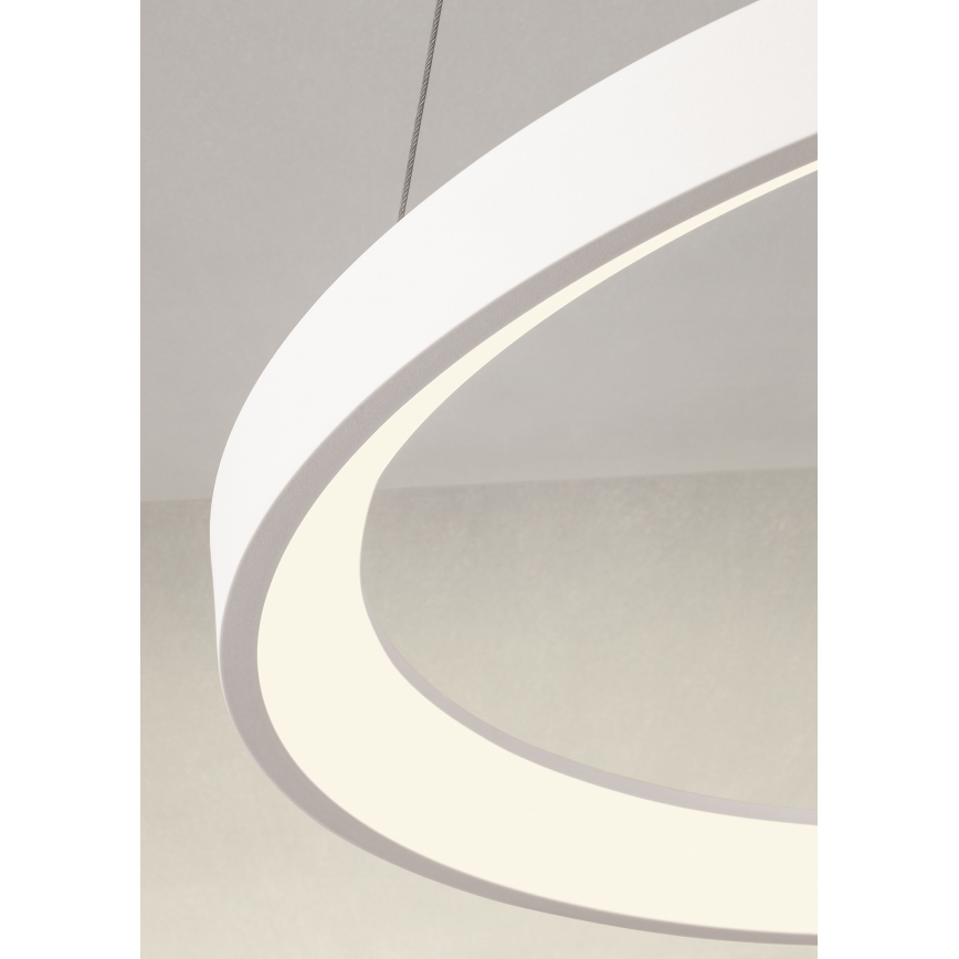Redo 01-2672 - LED Dimmable cable-hung pendant ICONIC LED/50W/230V Ø 58 cm White