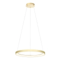 Redo 01-2673 - LED Dimmable chandelier on a string ICONIC LED/50W/230V d. 58 cm gold