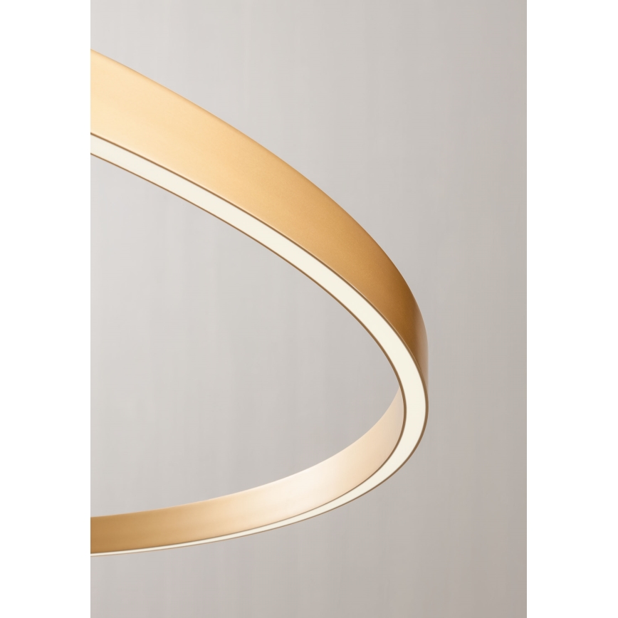 Redo 01-2835 - LED Dimmable wall light FEBE LED/24W/230V gold
