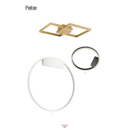 Redo 01-2835 - LED Dimmable wall light FEBE LED/24W/230V gold