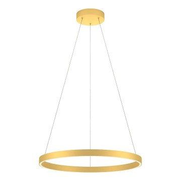Redo 01-2865 - FEBE Dimmable cable-hung pendant LED/37W/230V Gold