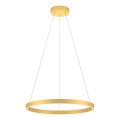 Redo 01-2865 - LED Dimmable chandelier on a string FEBE LED/37W/230V gold