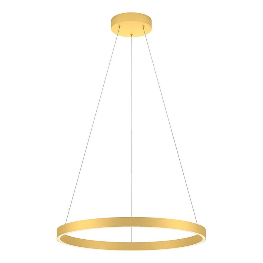 Redo 01-2865 - LED Dimmable chandelier on a string FEBE LED/37W/230V gold
