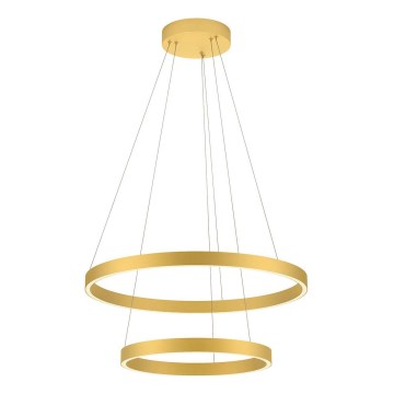Redo 01-2889 - LED Dimmable Cable Pendant Light FEBE LED/62W/230V Gold
