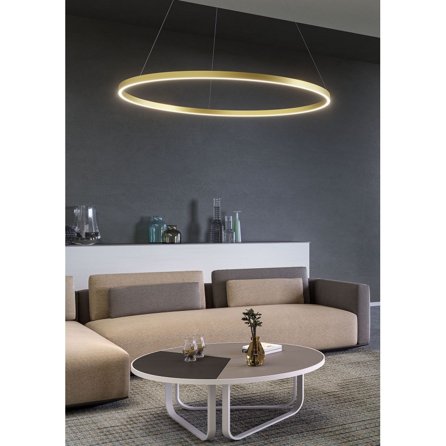 Redo 01-2889 - LED Dimmable Cable Pendant Light FEBE LED/62W/230V Gold