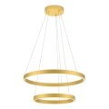Redo 01-2889 - LED Dimmable chandelier on a string FEBE LED/62W/230V gold