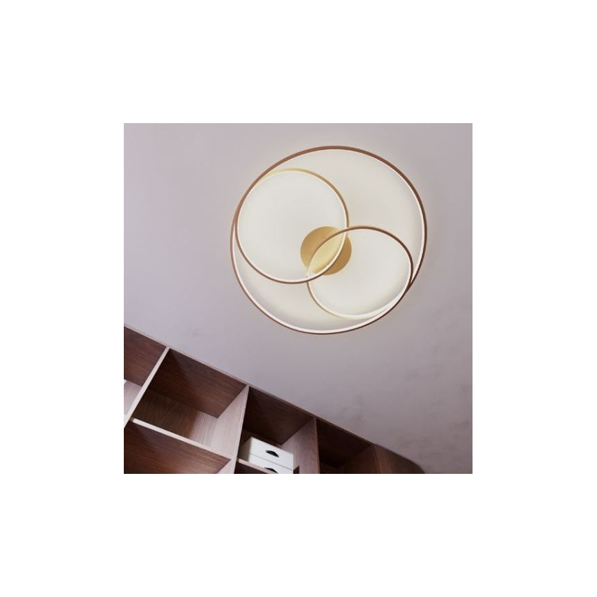 Redo 01-2973 - LED Ceiling light CENTRIX LED/92W/230V bronze