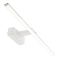 Redo 01-3085 - STEAM LED Picture Light / 12W / 230V / 59.5 cm / White