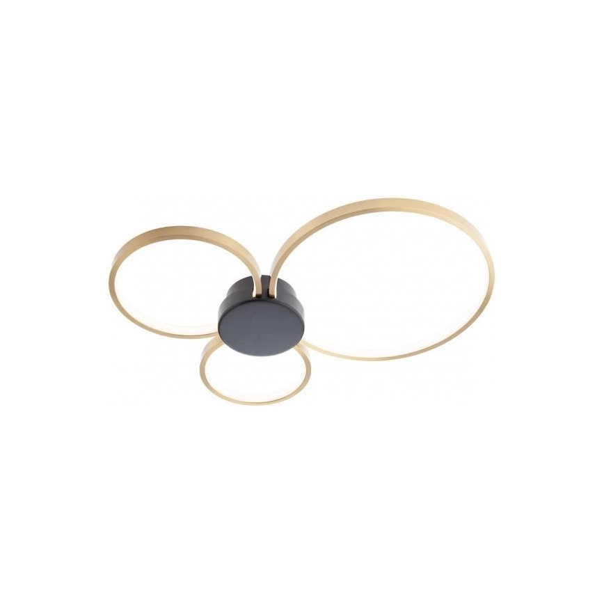 Redo 01-3105 - LED Ceiling light ATOM LED/20W/230V