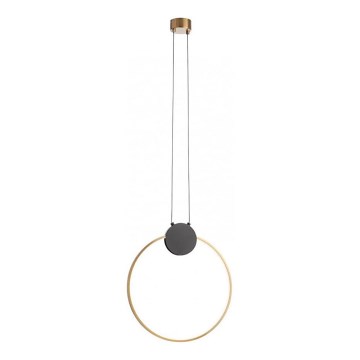 Redo 01-3106 - LED Chandelier on a string ATOM LED/11W/230V d. 40 cm