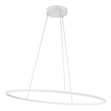 Redo 01-3337 - Dimmable LEO LED cable-suspended pendant LED/48W/230V 3000/4000K CRI 90 40x95 cm white