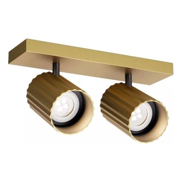 Redo 01-3402 - DELPHI Spotlight 2xGU10/7W/230V Gold