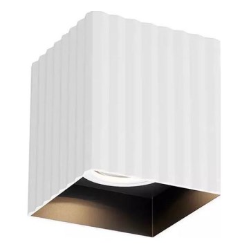 Redo 01-3407 - DELPHI Spotlight 1xGU10/7W/230V 8.1x8.1 cm White