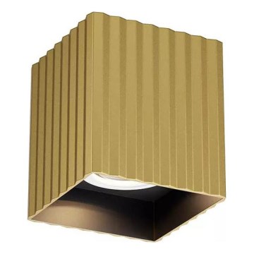 Redo 01-3408 - DELPHI Spotlight 1x GU10 / 7W / 230V, 8.1 x 8.1 cm, Gold
