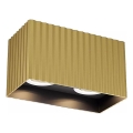 Redo 01-3411 - DELPHI spotlight 2xGU10/7W/230V 16.1x8.1 cm gold