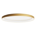 Redo 01-3807 - Dimmable NOBU LED Ceiling Light LED/60W/230V 3000/4000K CRI 90 Gold