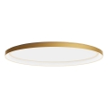 Redo 01-3810 - Dimmable LED Ceiling Light NOBU LED/80W/230V 3000/4000K CRI 90 Gold