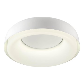 Redo 01-3940 - LED Ceiling Light DIP LED/30W/230V 2700/3000/4000/5000/6500K CRI 90 Ø 48.6 cm White