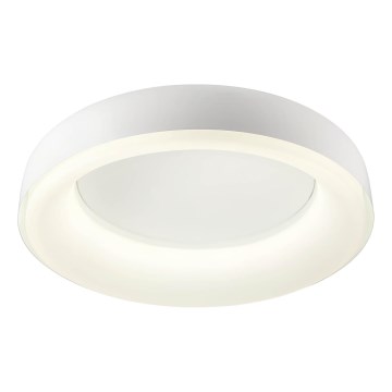 Redo 01-3941 - DIP LED Ceiling Light, 40W, 230V, CCT 2700/3000/4000/5000/6500K, CRI 90, Ø 62.4 cm, White