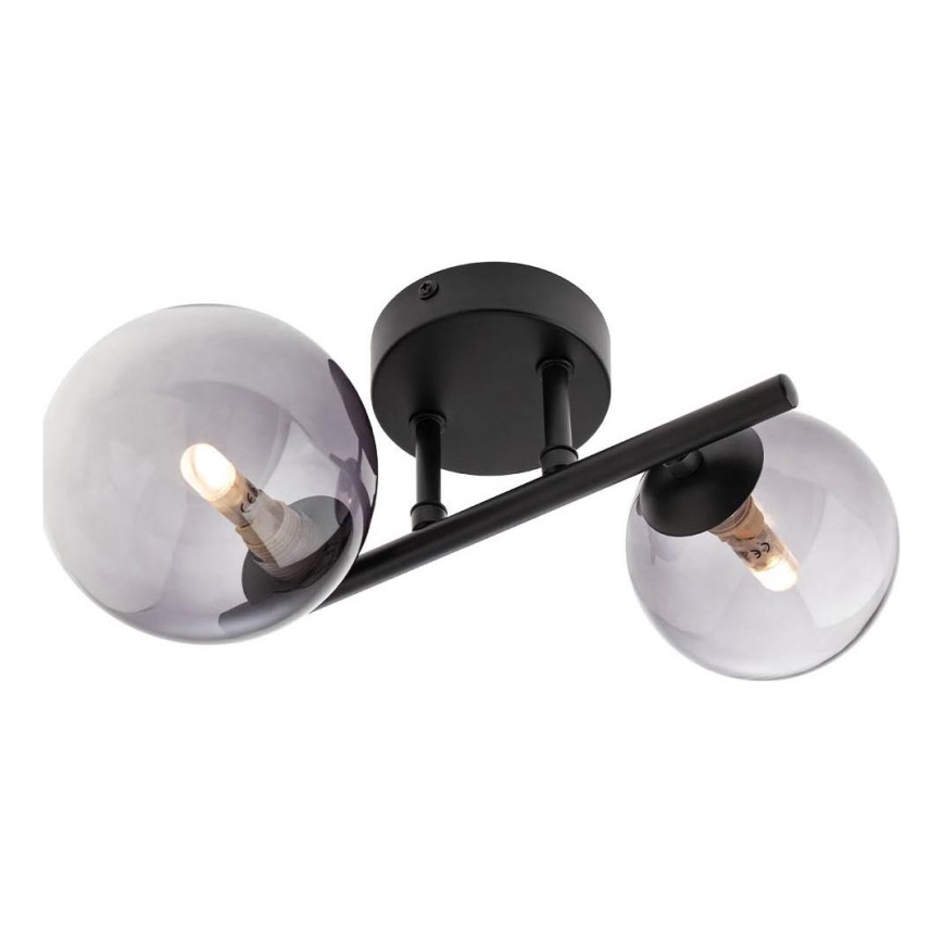 Redo 01-3987 - Surface-mounted chandelier ASTRA 2xG9/8W/230V black