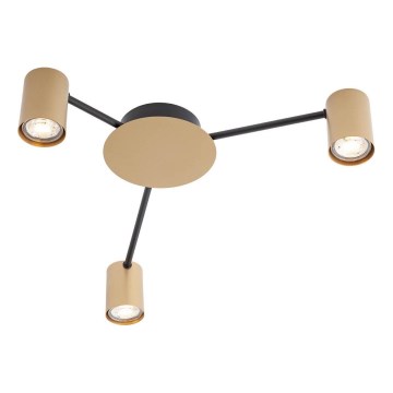 Redo 01-4049 - Spotlight NOA 3xGU10/10W/230V gold