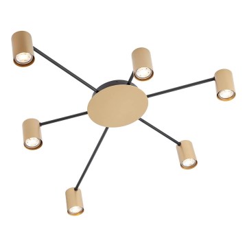 Redo 01-4051 - Spotlight NOA 6xGU10/10W/230V gold