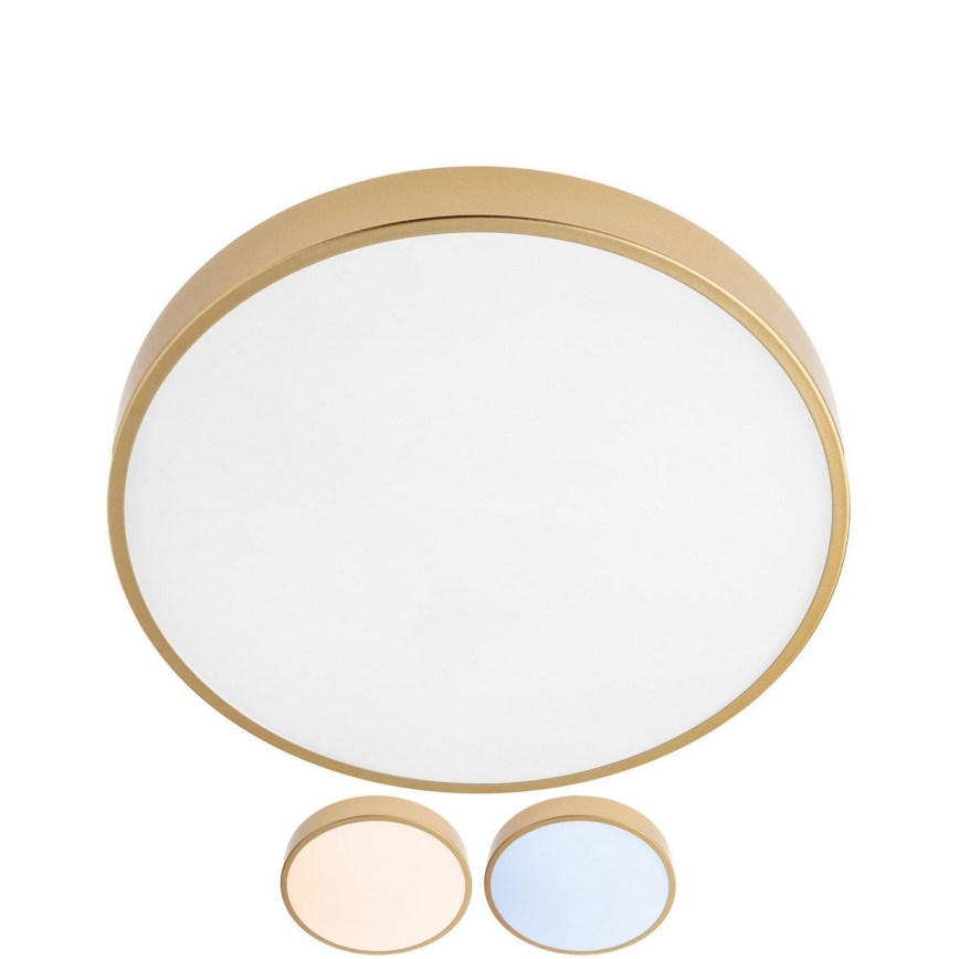 Redo 05-932 - LED Ceiling light KNOB LED/36W/230V 3000K-6500K 40 cm gold
