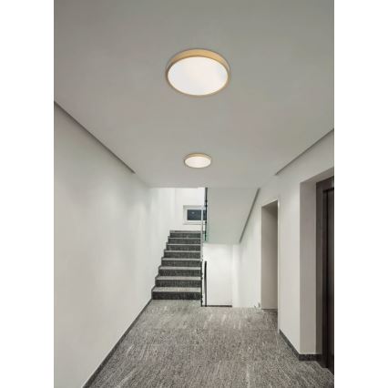 Redo 05-932 - LED Ceiling light KNOB LED/36W/230V 3000K-6500K 40 cm gold