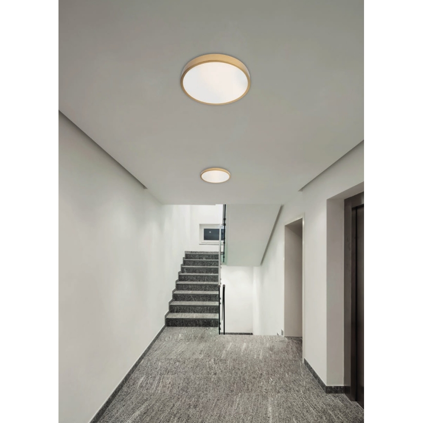 Redo 05-932 - LED Ceiling light KNOB LED/36W/230V 3000K-6500K 40 cm gold