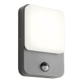 Redo 90133 - LED Outdoor Wall Light with Motion and Dusk Sensor COLIN LED/9W/230V 3000K IP54 Anthracite