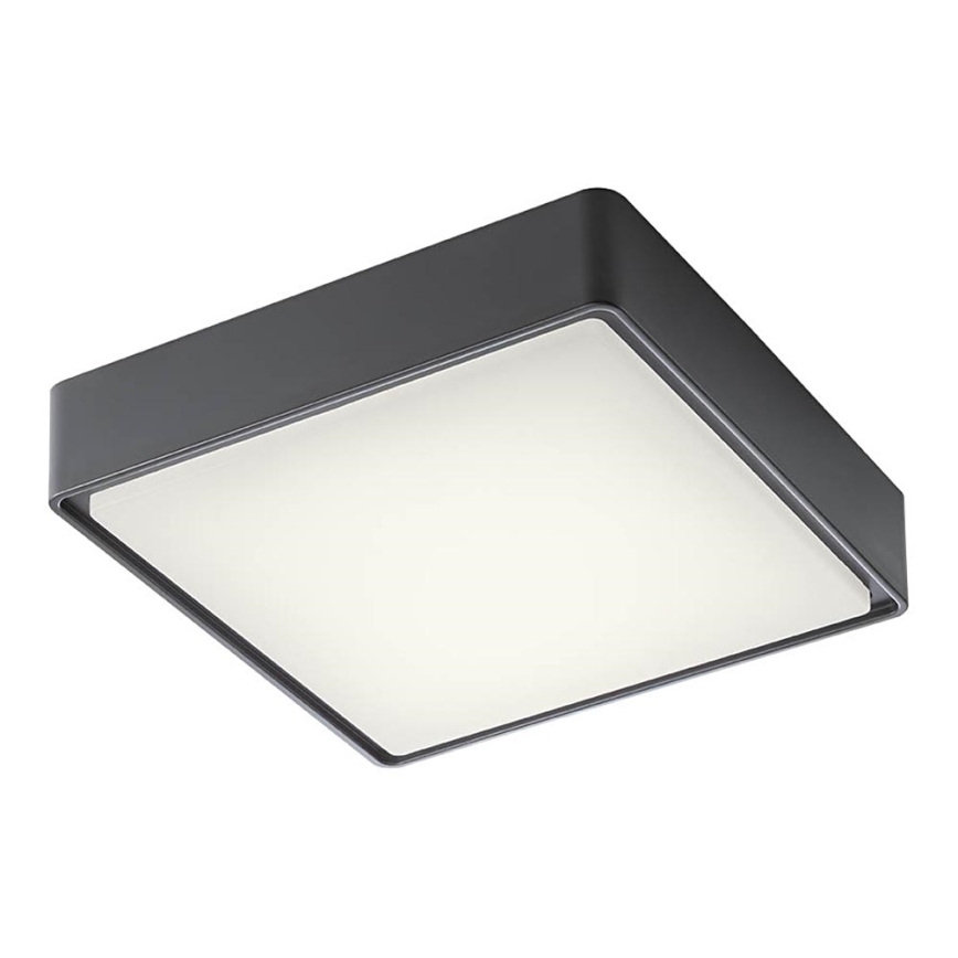 Redo 90157 - LED Outdoor ceiling light MARINA LED/12W/230V 22x22 cm IP65 anthracite