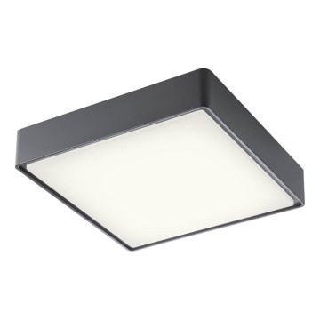 Redo 90158 - LED Outdoor ceiling light MARINA LED/16W/230V 29,6x29,6 cm IP65 anthracite