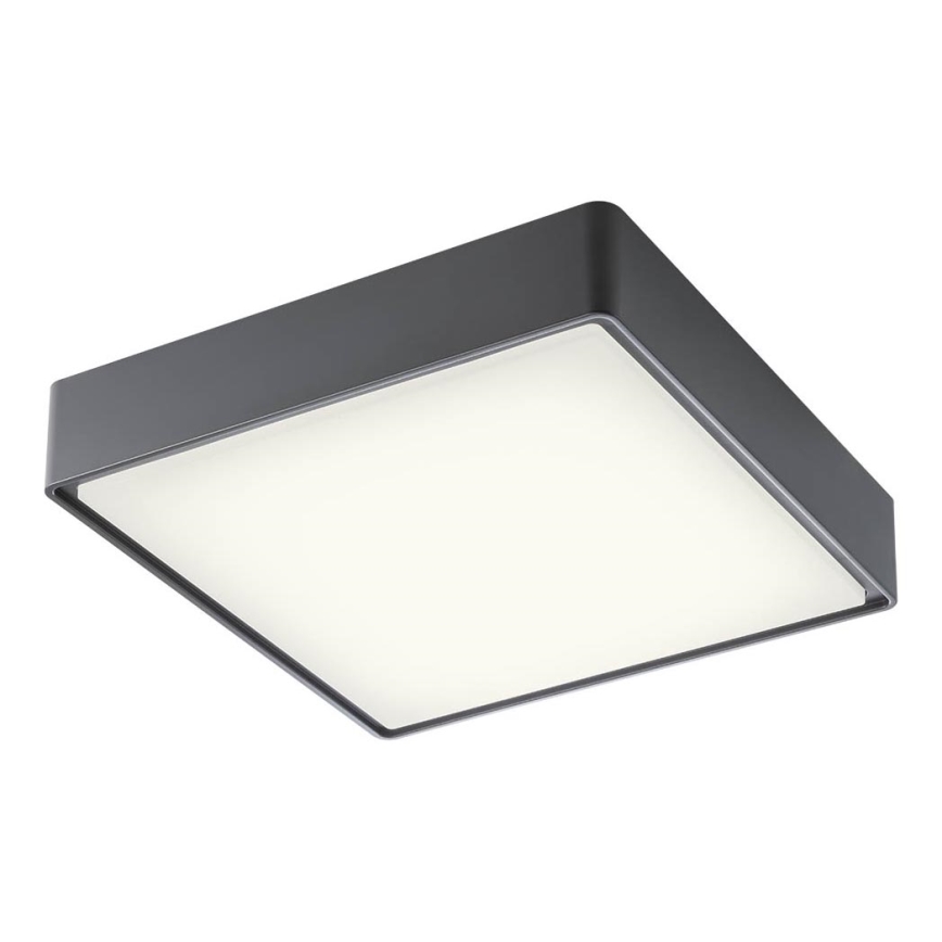 Redo 90158 - LED Outdoor ceiling light MARINA LED/16W/230V 29,6x29,6 cm IP65 anthracite
