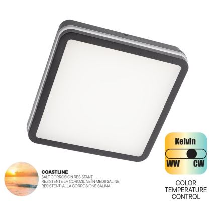 Redo 90288 - LED Outdoor ceiling light ISOLA LED/24W/230V 26x26 cm 3000/4000/6500K IP54 anthracite