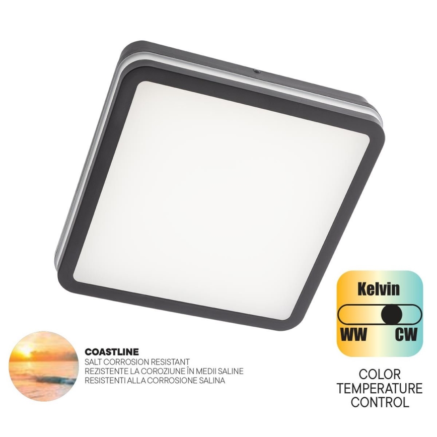 Redo 90288 - LED Outdoor ceiling light ISOLA LED/24W/230V 26x26 cm 3000/4000/6500K IP54 anthracite