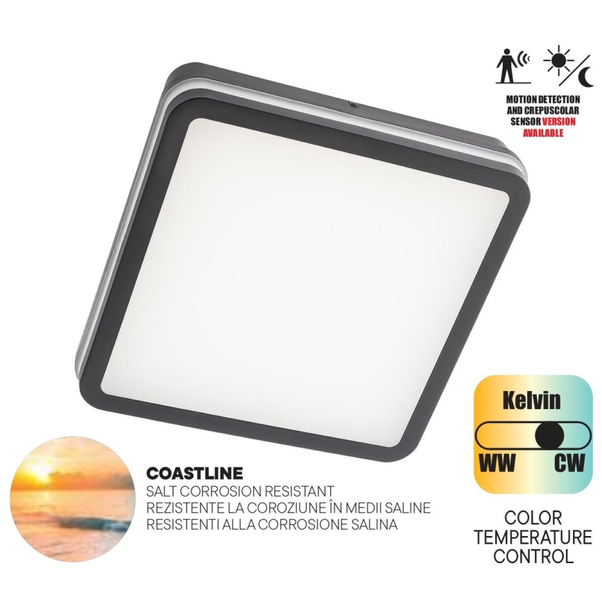 Redo 90292 - LED Outdoor ceiling light with sensor ISOLA LED/24W/230V 26x26 cm 3000/4000/6500K IP54 anthracite