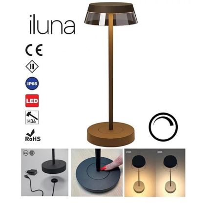 Redo 90308 - LED Dimmable touch table lamp ILUNA LED/2,5W/5V 2700-3000K 3000 mAh IP65 brown