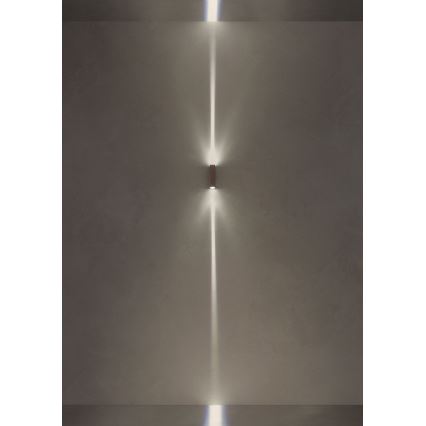 Redo 90424 - LED Outdoor wall light ACE LED/5,84W/230V 4000K IP54 brown