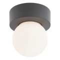 Redo 90641 - Outdoor ceiling light BULK 1xE27/28W/230V IP44 anthracite