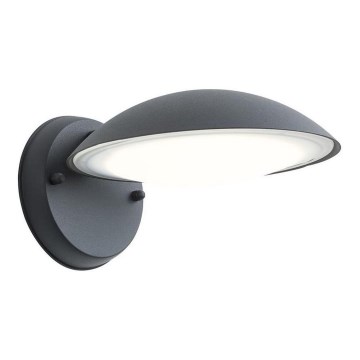 Redo 9617 - LED Outdoor wall lamp CAPP LED/12W/230V IP54 anthracite