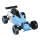 Remotely controlled Buggy Formula blue/black