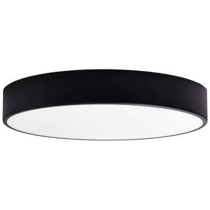 Replacement glass for ceiling light CLEO 50 cm glass