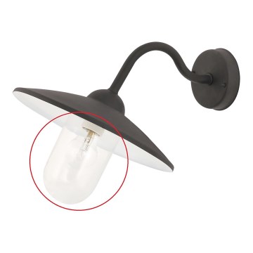 Replacement glass E27 170x100 mm