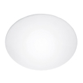 Replacement glass for ceiling light Steinel 738013 E27