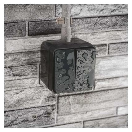 Residential 2-button alternating switch No. 6+6 IP55 anthracite