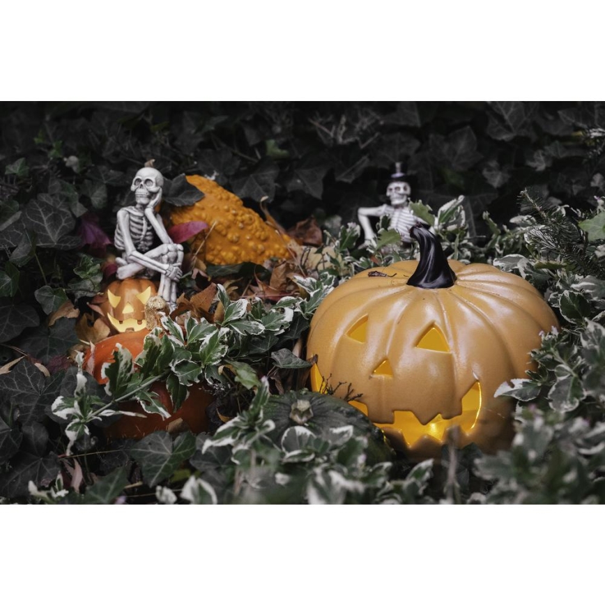LED Decoration HALLOWEEN LED/2xLR44/warm white skeleton in a pumpkin resin