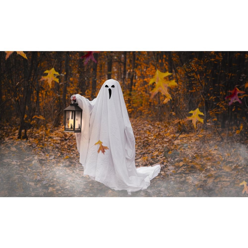 LED Decoration HALLOWEEN LED/3xAAA/warm white lantern