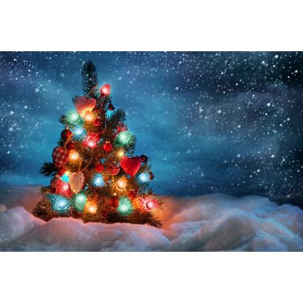 LED outdoor string lights — 80 LEDs / 25 m, IP44, multicolor