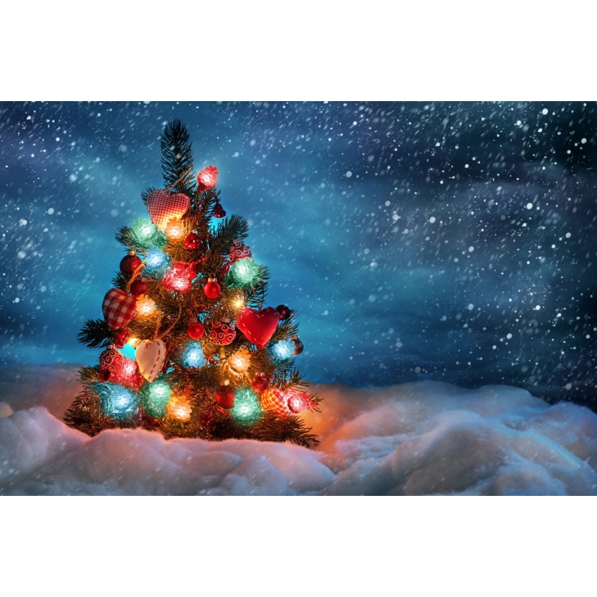LED outdoor string lights — 80 LEDs / 25 m, IP44, multicolor