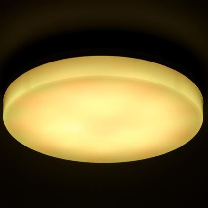 LED RGBW Dimmable bathroom ceiling light LED/20W/230V Wi-Fi IP44 white